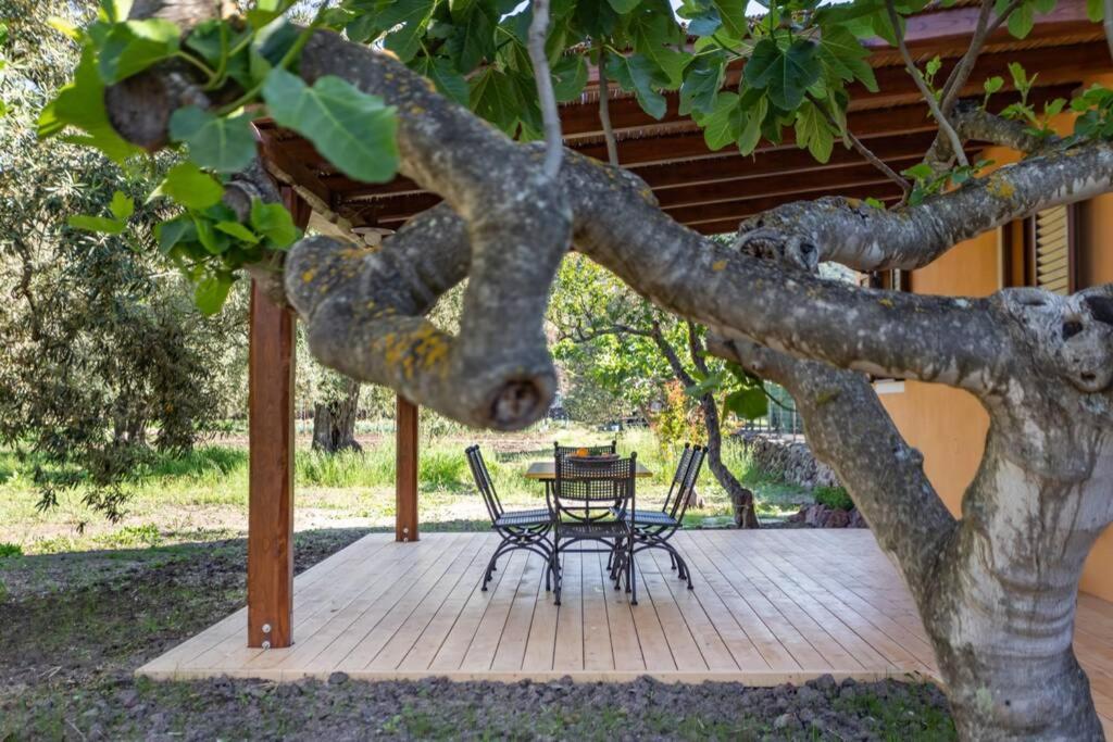 A Charming Country Cottage + Bikes And Kayaks Bosa Exterior foto